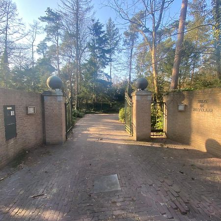 Sjieke Gezellige Villa In Het Bos Lieshout Dış mekan fotoğraf