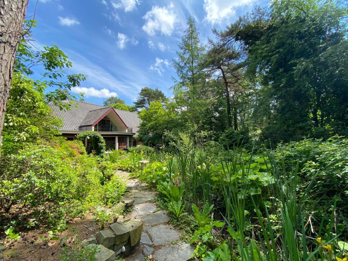 Sjieke Gezellige Villa In Het Bos Lieshout Dış mekan fotoğraf