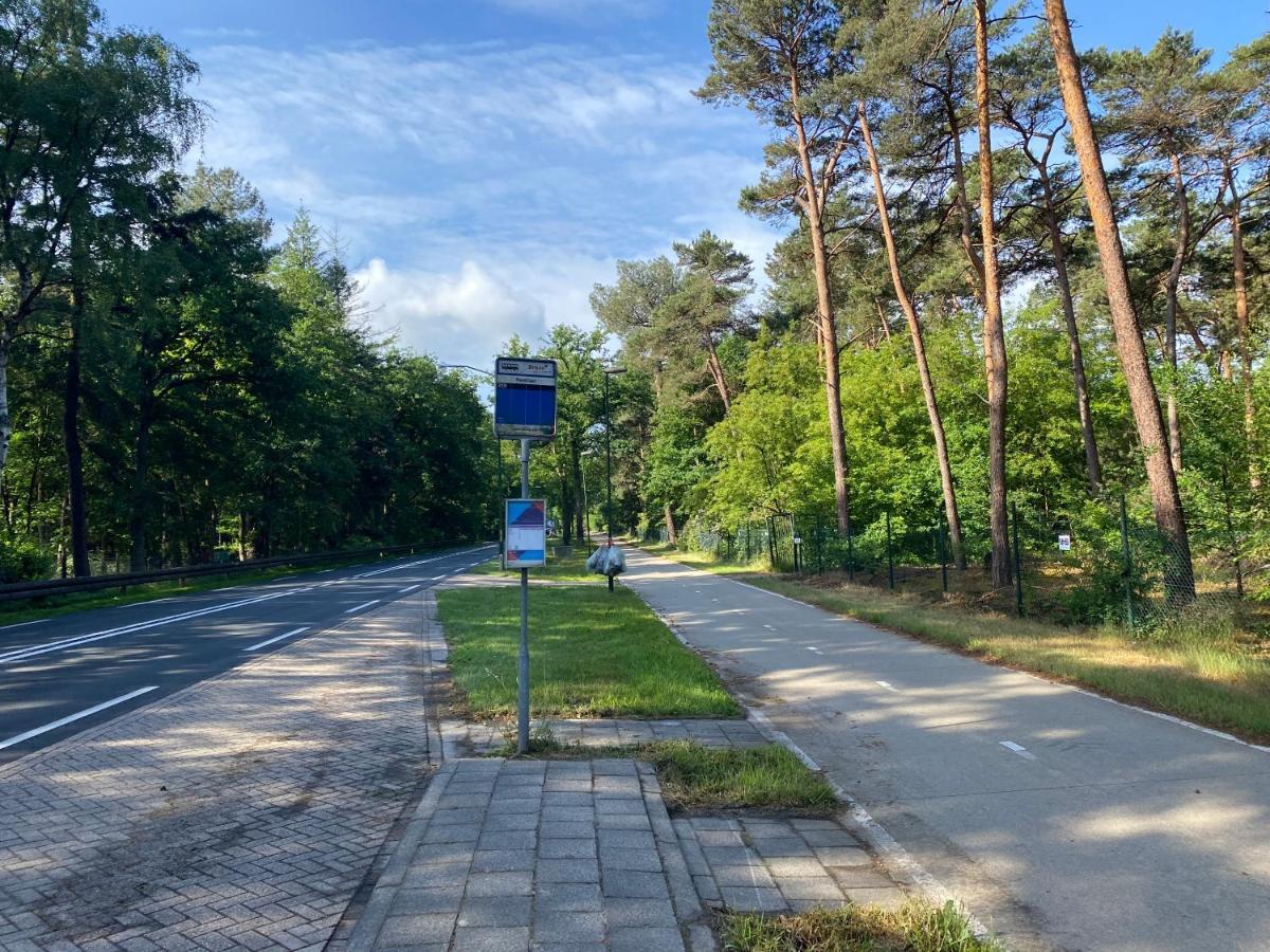 Sjieke Gezellige Villa In Het Bos Lieshout Dış mekan fotoğraf