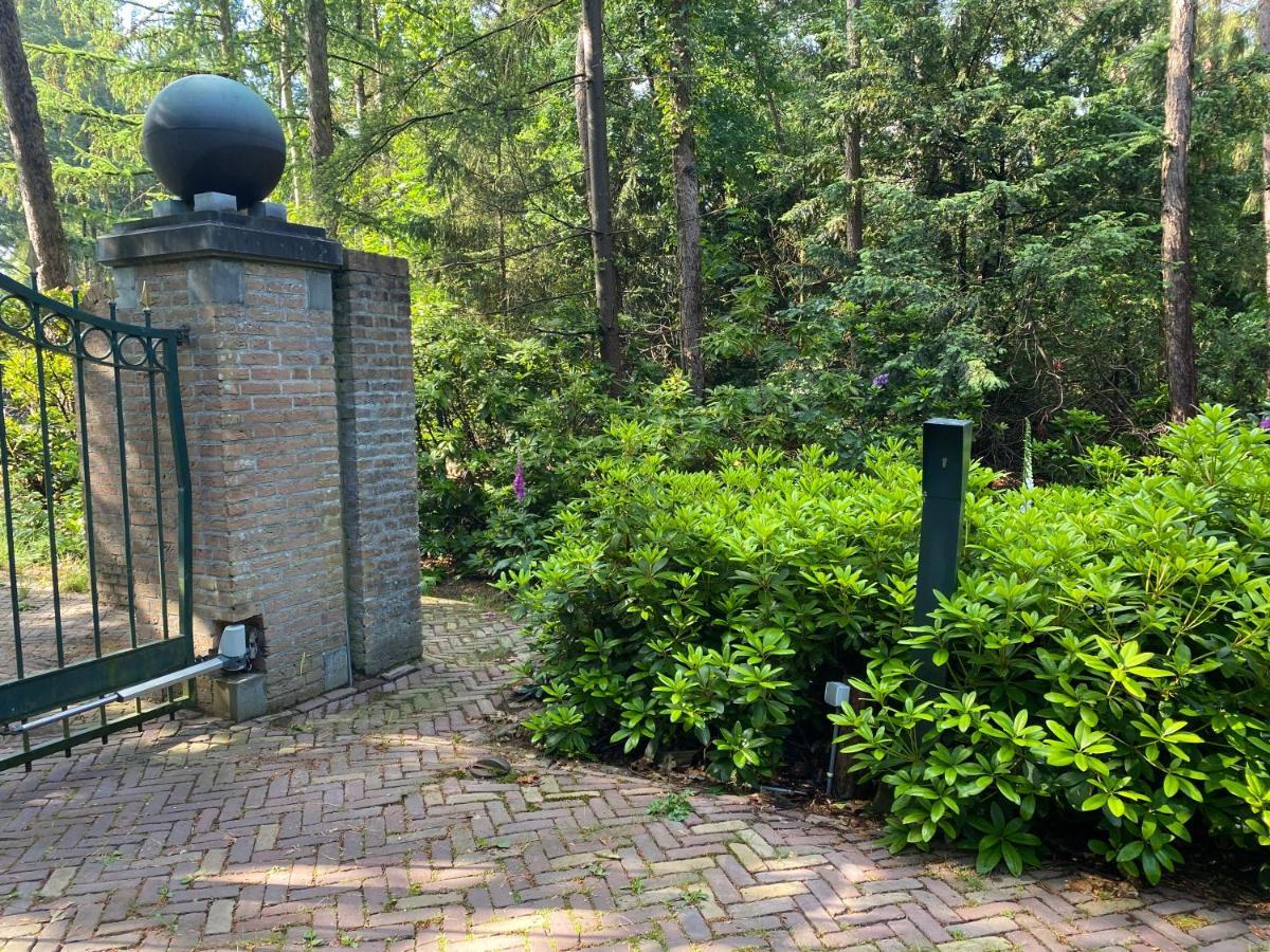 Sjieke Gezellige Villa In Het Bos Lieshout Dış mekan fotoğraf