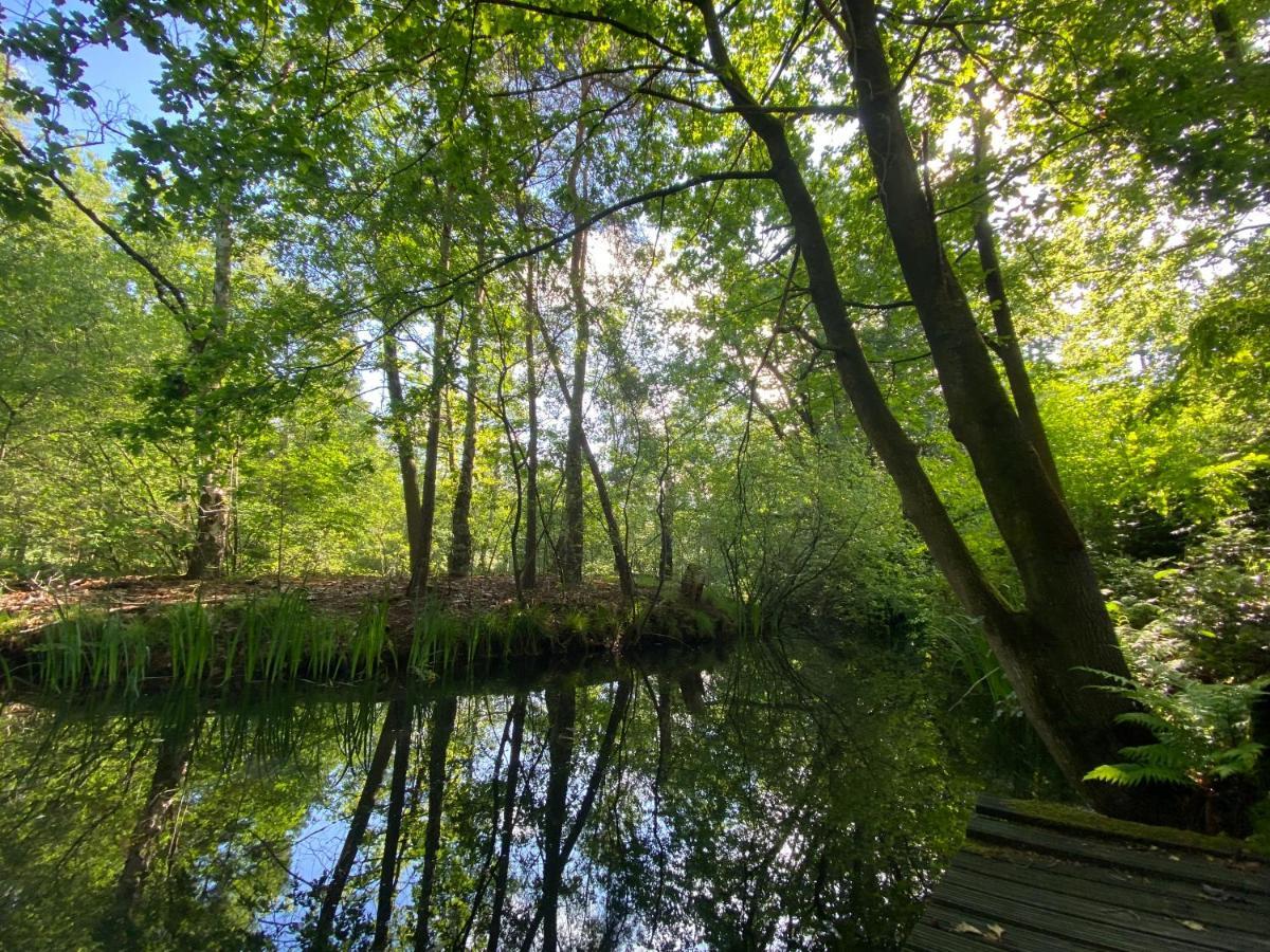 Sjieke Gezellige Villa In Het Bos Lieshout Dış mekan fotoğraf
