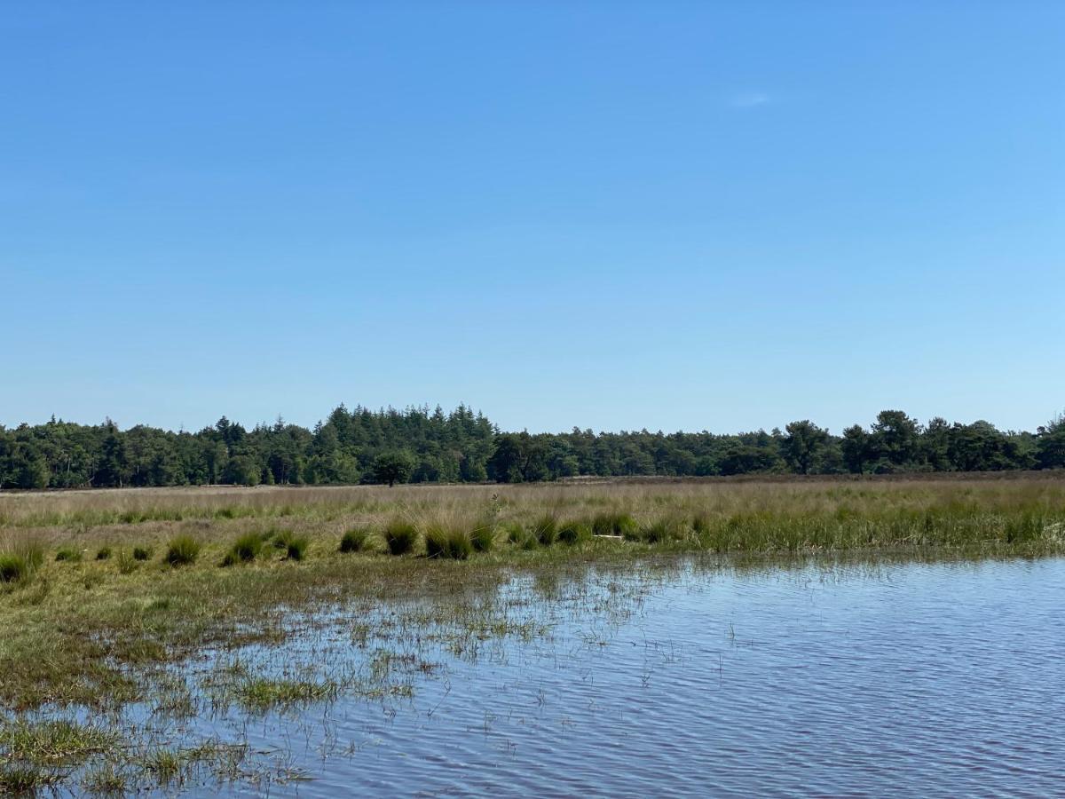 Sjieke Gezellige Villa In Het Bos Lieshout Dış mekan fotoğraf