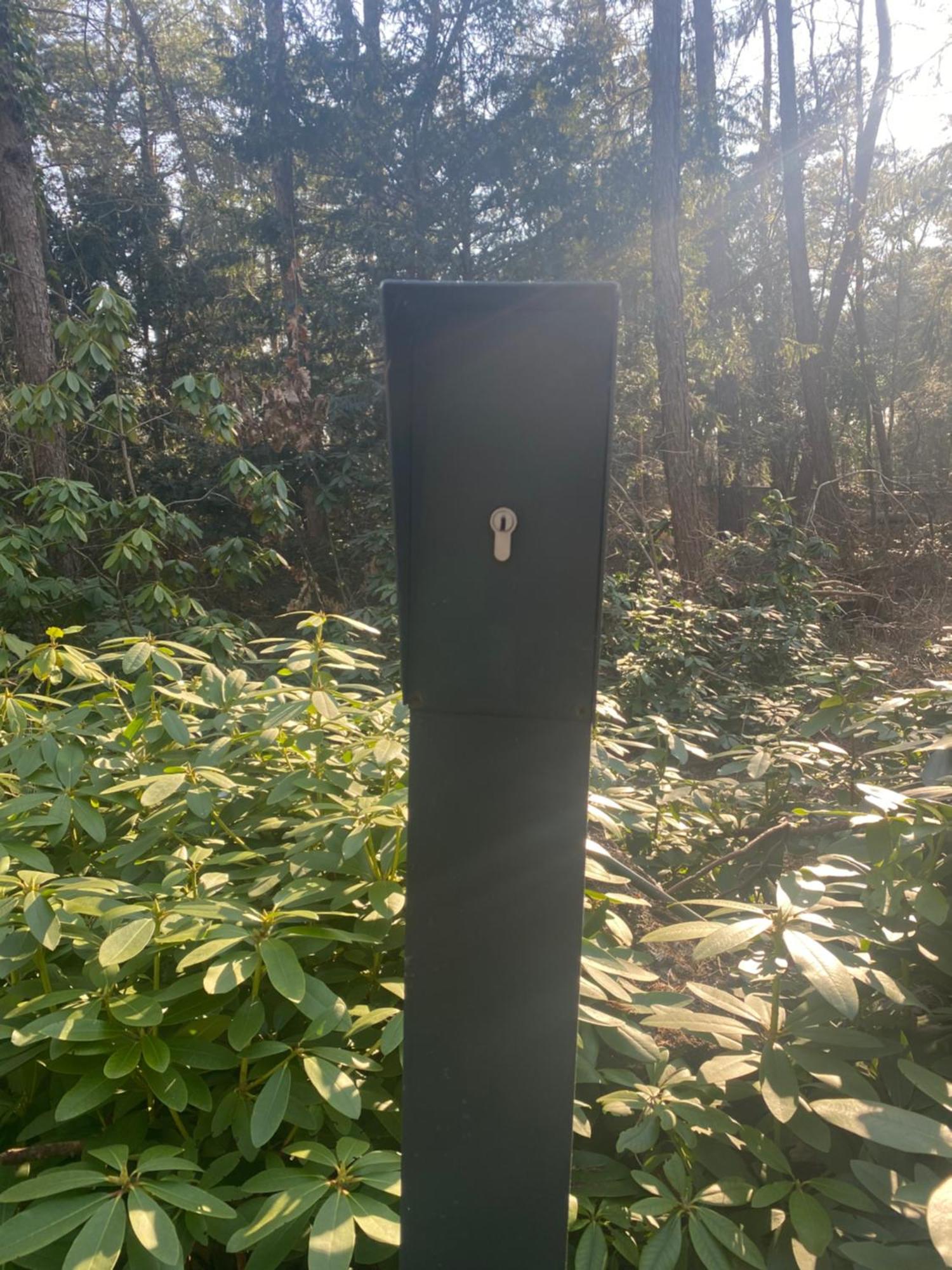 Sjieke Gezellige Villa In Het Bos Lieshout Dış mekan fotoğraf